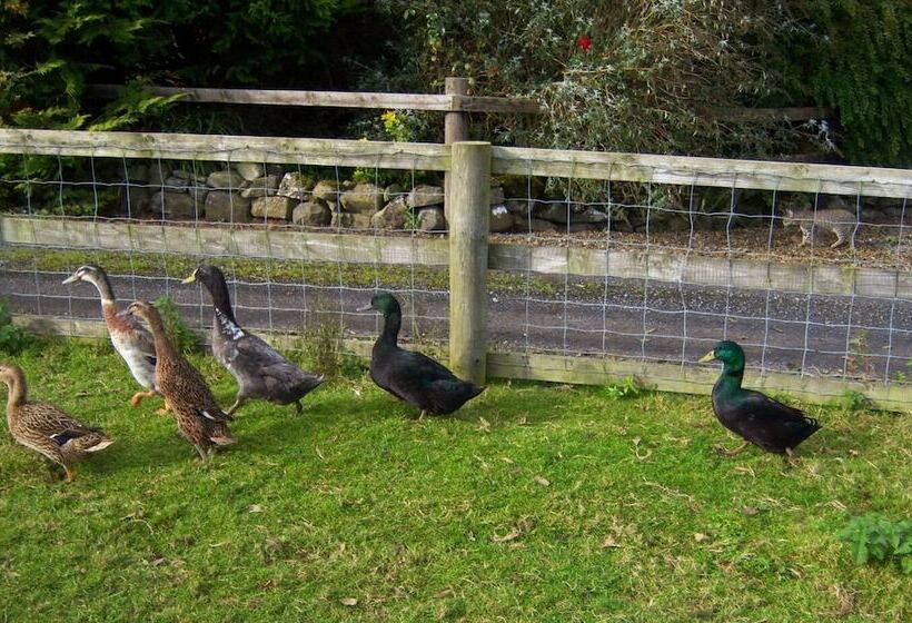 Valleylodge Farm Hostel