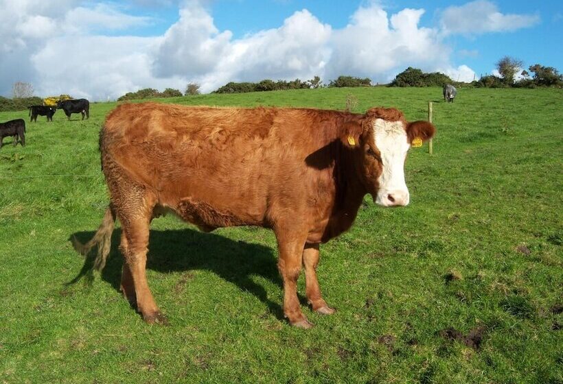 Valleylodge Farm Hostel