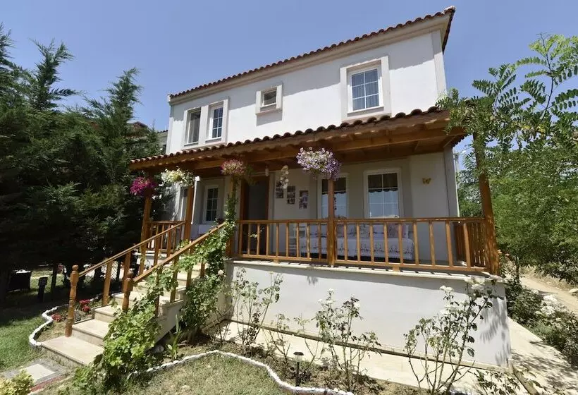 تختخواب و صبحانه Le Mansion Otel