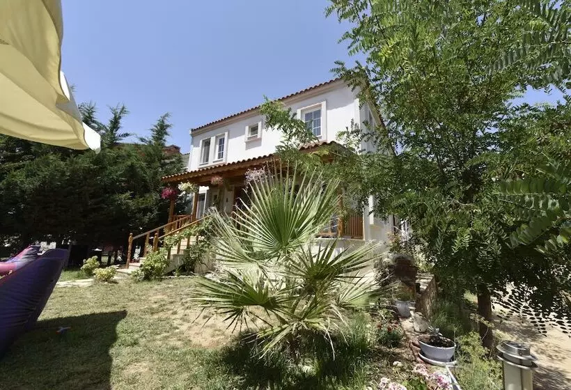 تختخواب و صبحانه Le Mansion Otel