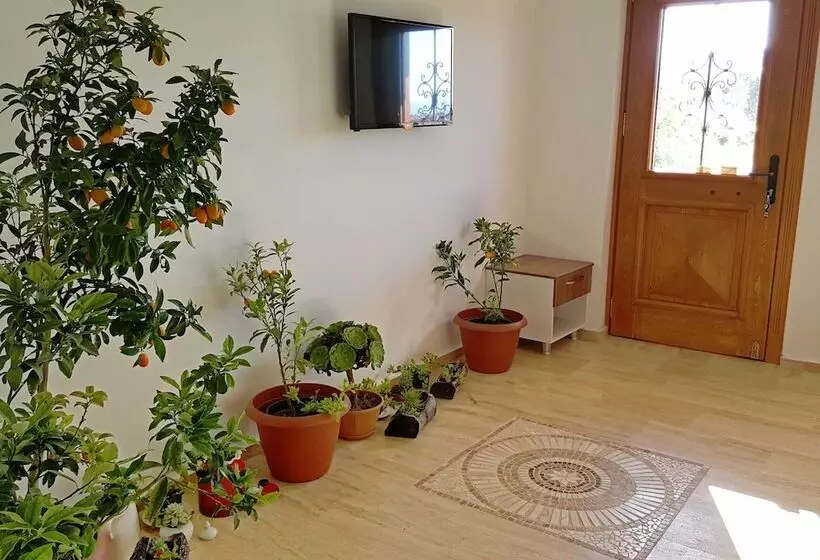 تختخواب و صبحانه Le Mansion Otel