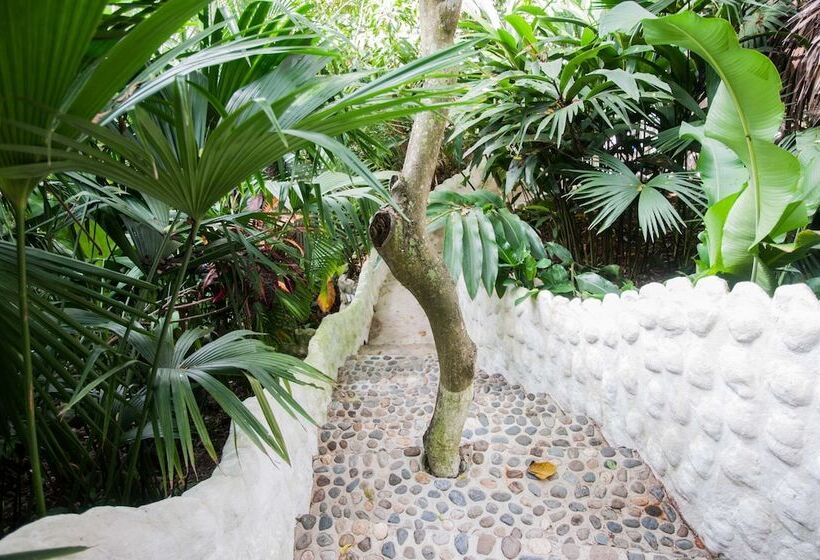 هاستل Ecohostal Rio Piedra