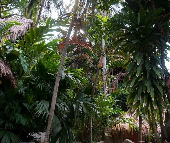 هاستل Ecohostal Rio Piedra