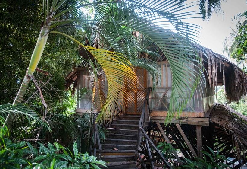 هاستل Ecohostal Rio Piedra