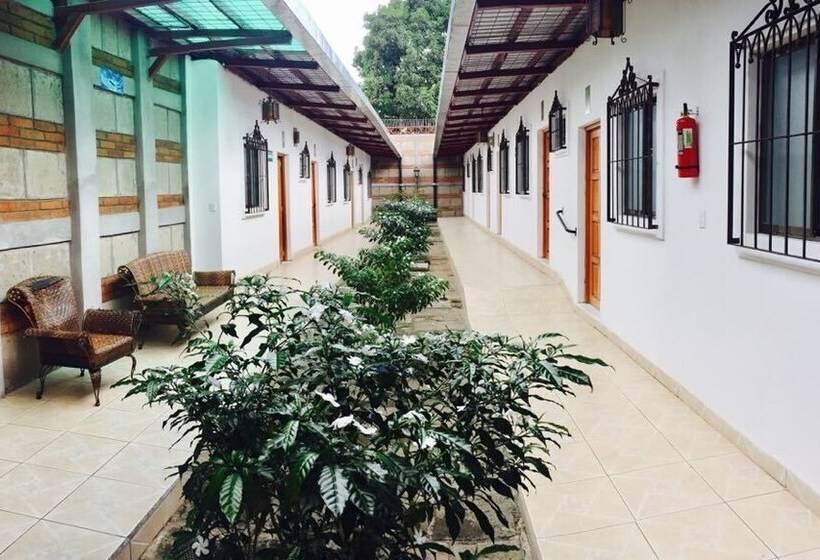 Hostal Casa San Miguel Traveler S House