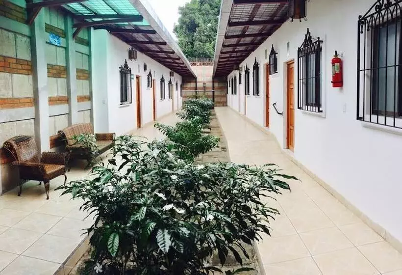 Hostal Casa San Miguel Traveler S House