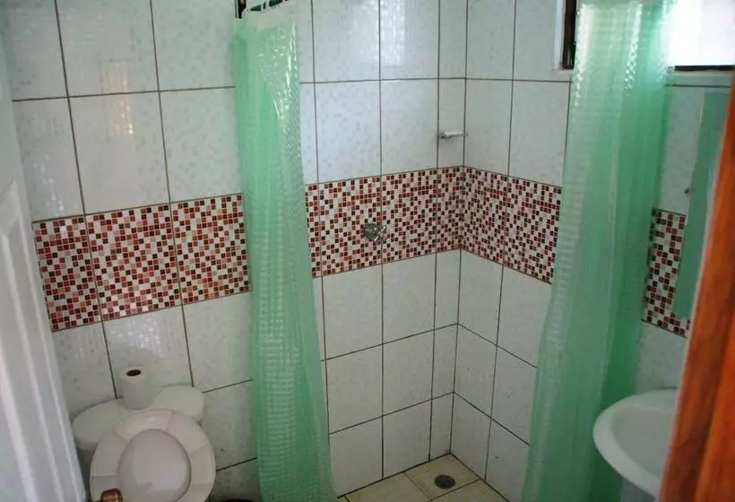 Hostal Casa San Miguel Traveler S House