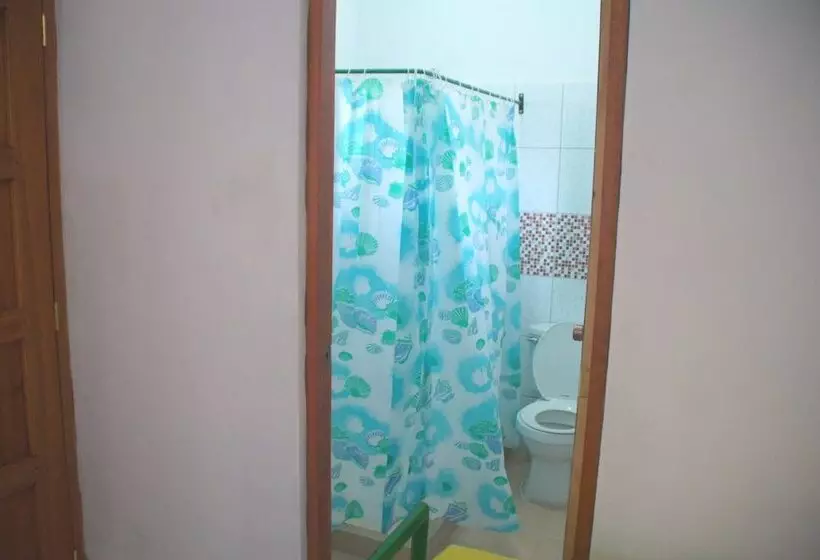 Hostal Casa San Miguel Traveler S House