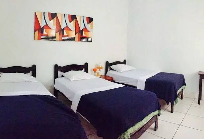 Hostal Casa San Miguel Traveler S House