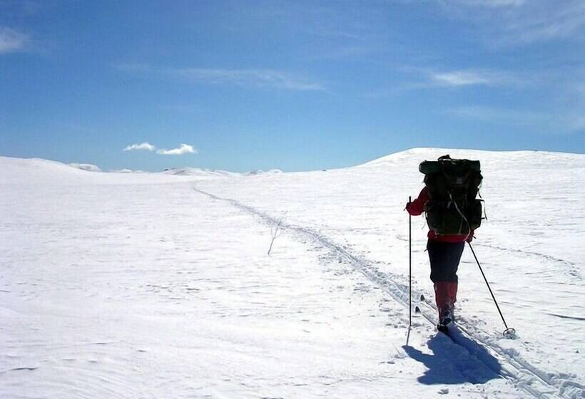 فندق فئة نجمة واحدة Veggli Vertshus