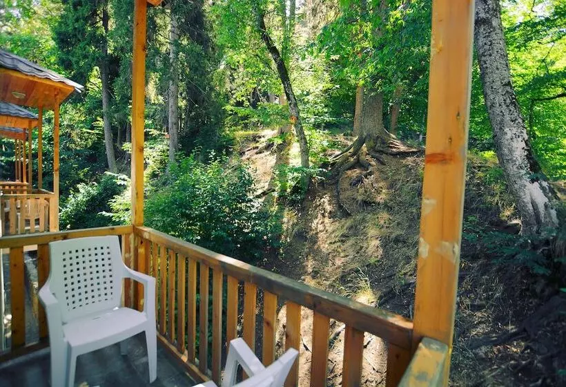 هتل Abastumani Residence