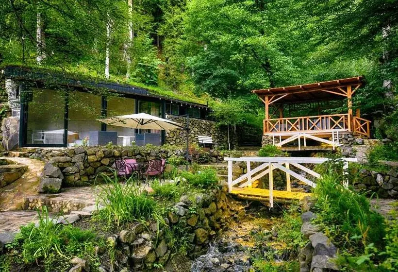 هتل Abastumani Residence