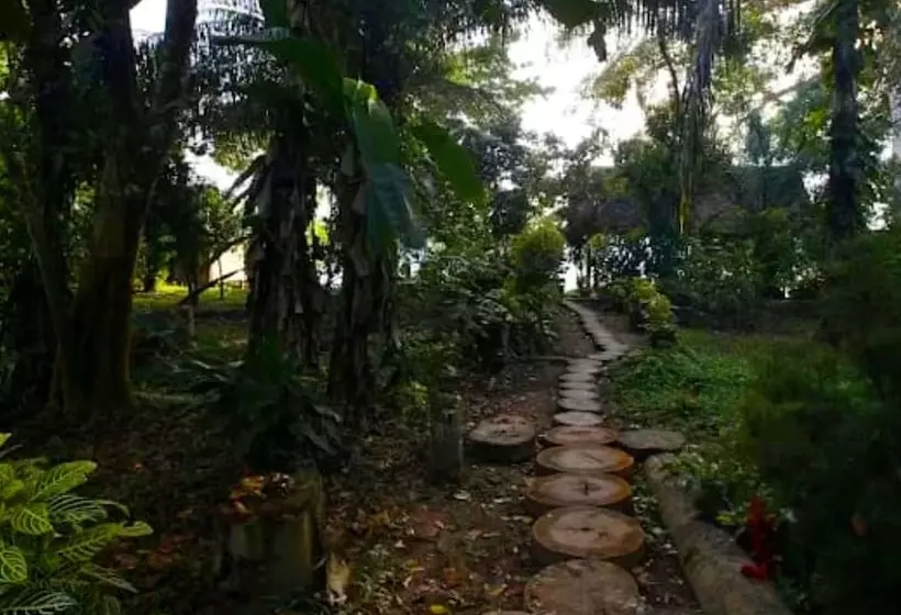 ホテル Ecolucerna Lodge Tambopata