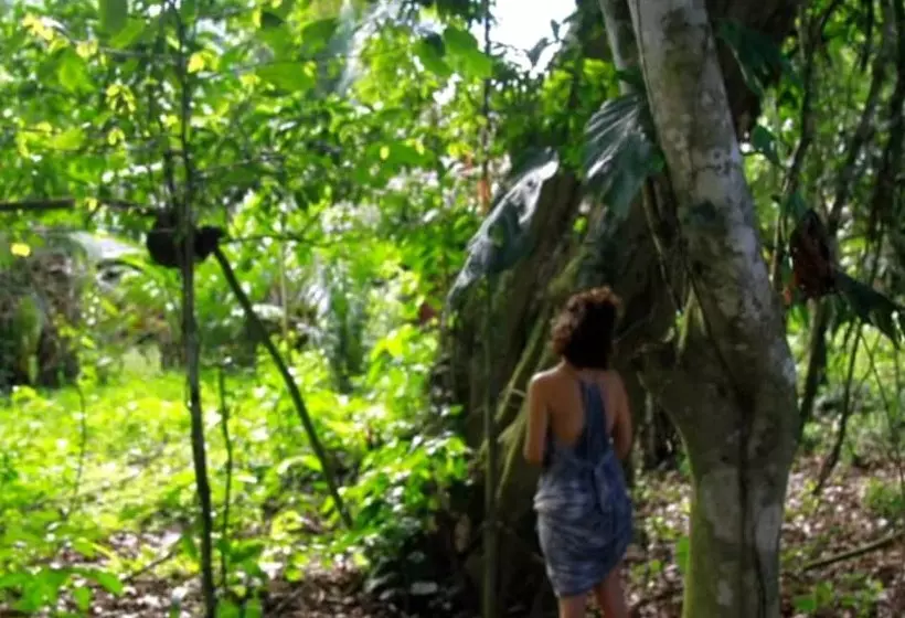 ホテル Ecolucerna Lodge Tambopata