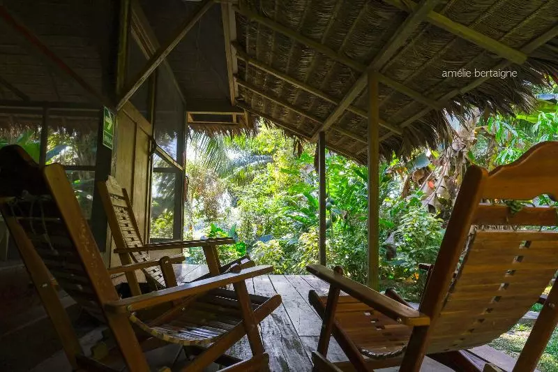 ホテル Ecolucerna Lodge Tambopata