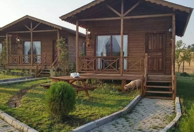 Hotelli Gokoz Natural Park