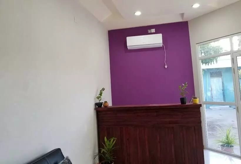 هتل Lilac Stay