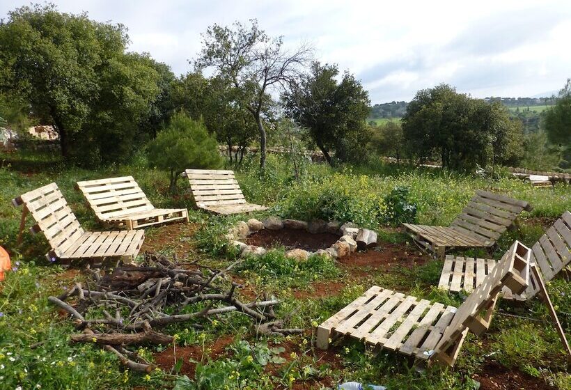 هتل Mountain Breeze Resort