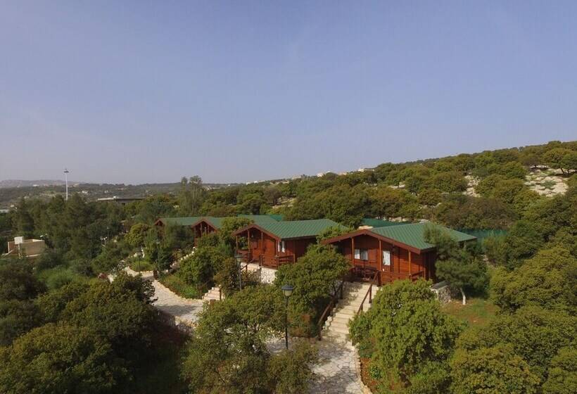 هتل Mountain Breeze Resort