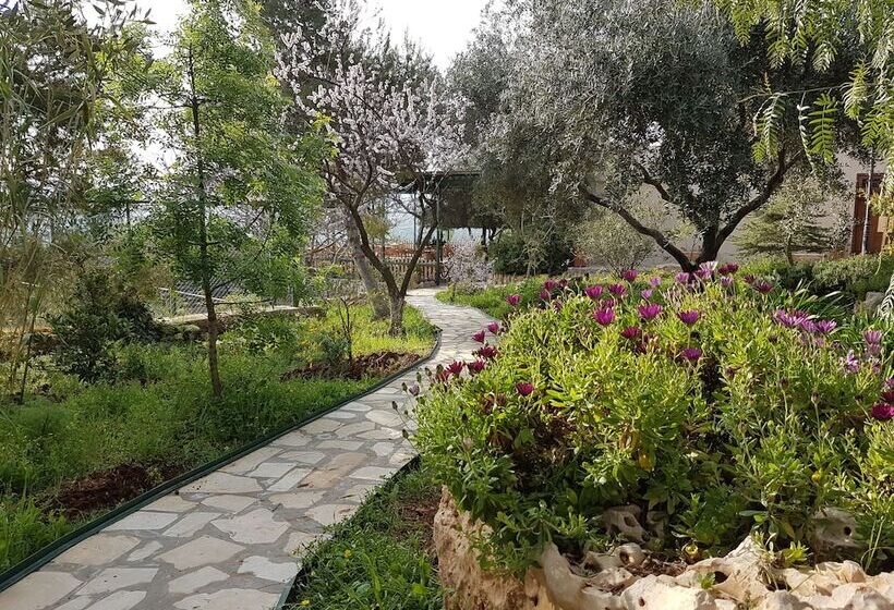 هتل Mountain Breeze Resort