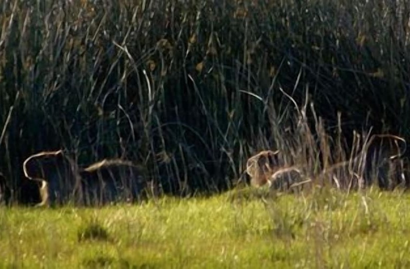 Hotel Posada Del Muelle