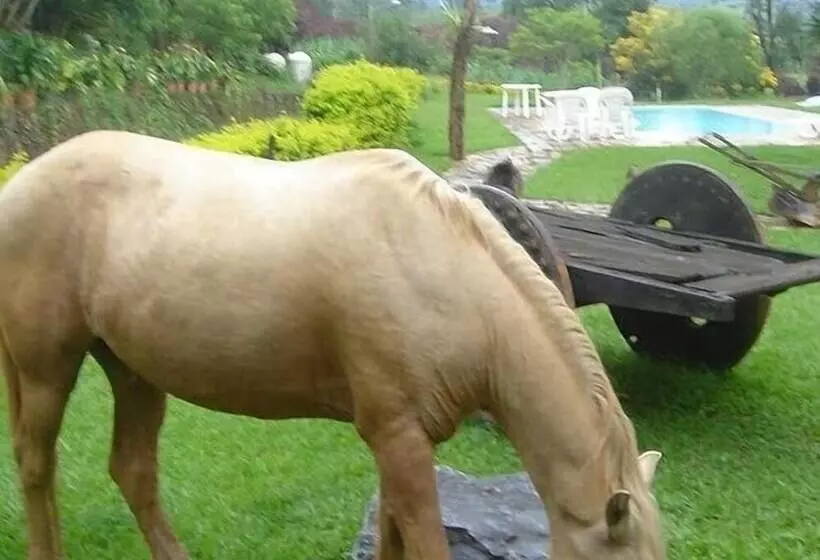 Hotelli Pousada Padre Toledo