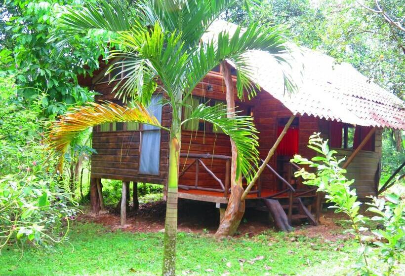 בית מלון כפרי Finca Vocaré Agroturismo