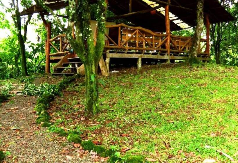 בית מלון כפרי Finca Vocaré Agroturismo