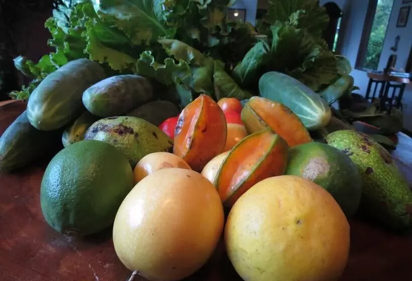 Maaseutuhotelli Finca Vocaré Agroturismo