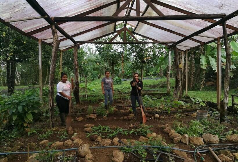 בית מלון כפרי Finca Vocaré Agroturismo