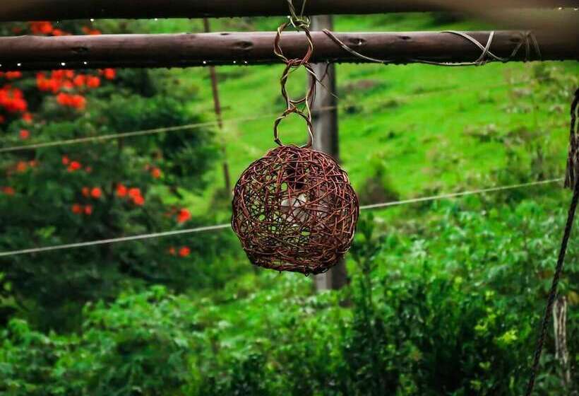 Hotel Rural Pousada Fazenda Polyanna