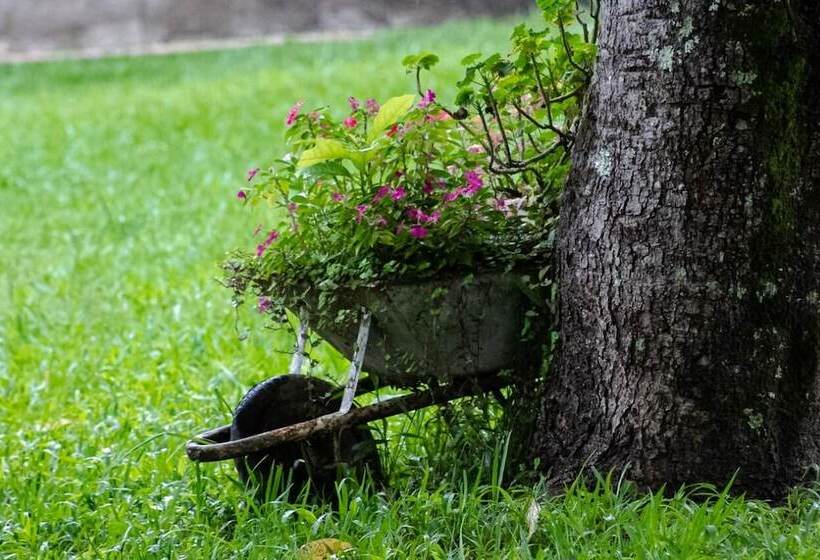 Hotel Rural Pousada Fazenda Polyanna