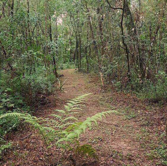 هتل Vista Alegre Natural Resort   Bungalows