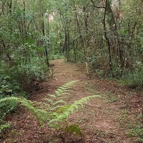 هتل Vista Alegre Natural Resort   Bungalows