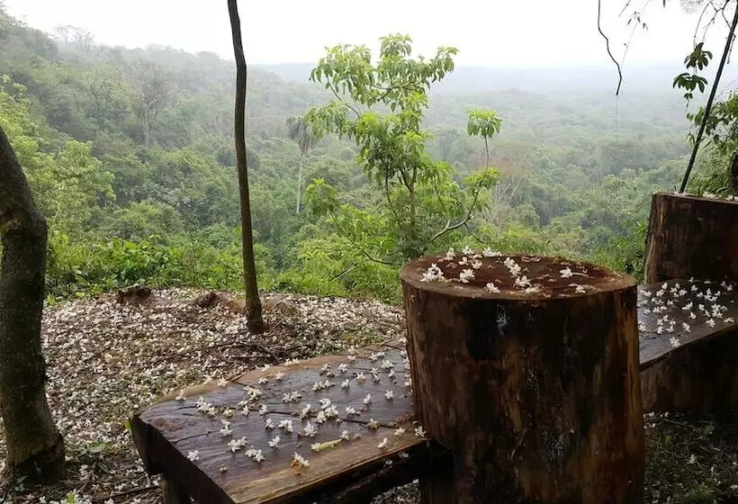 هتل Vista Alegre Natural Resort   Bungalows