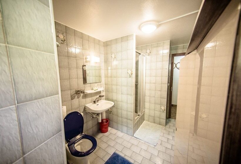 פנסיון Auberge Du Mont Blanc