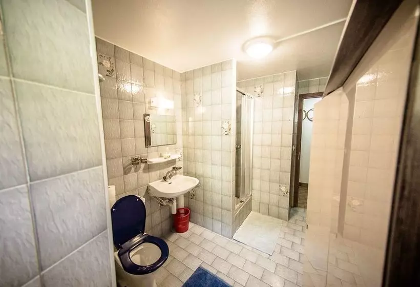 ペンション Auberge Du Mont Blanc