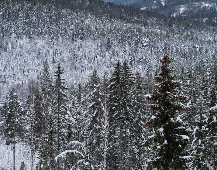 Пансион Eggedal Borgerstue