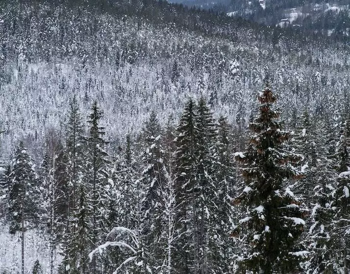 Majatalo Eggedal Borgerstue