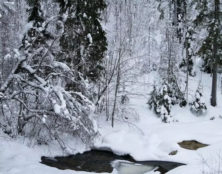 Majatalo Eggedal Borgerstue