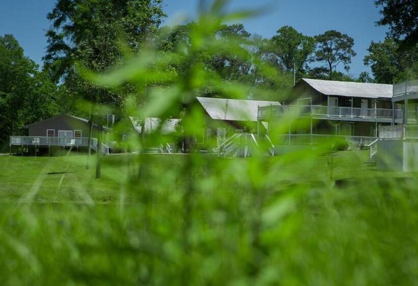 膳宿费 Village Studios