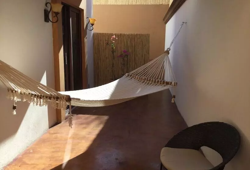 The Vibe Bed & Breakfast   Adults Only