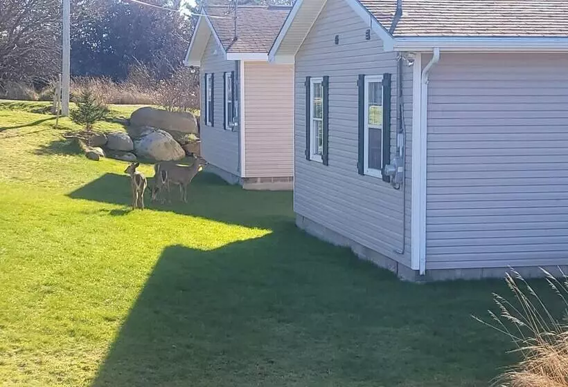 Whispering Waves Cottages