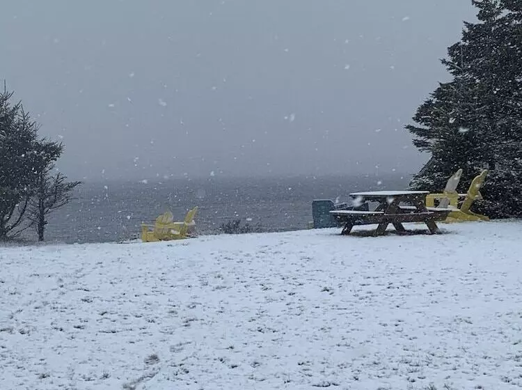 Whispering Waves Cottages