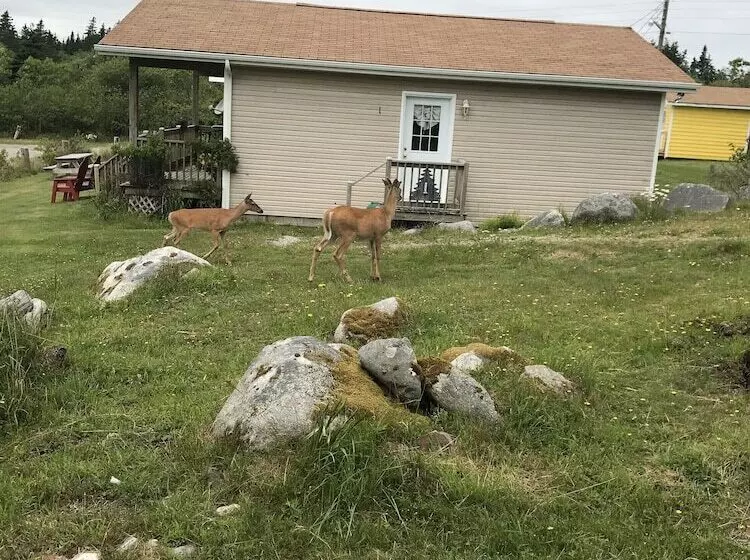 Whispering Waves Cottages