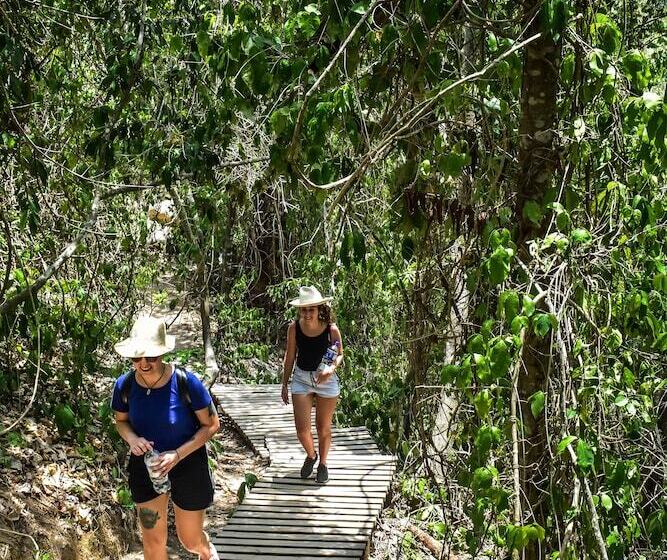 هاستل Ecohotel Yachay Tayrona