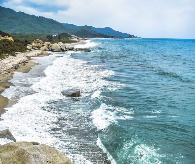 هاستل Ecohotel Yachay Tayrona