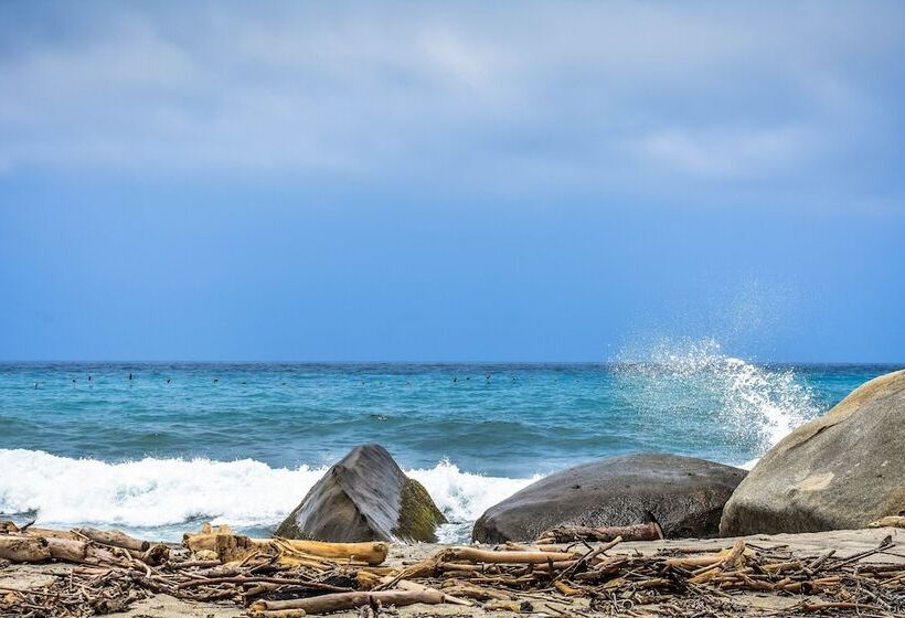 هاستل Ecohotel Yachay Tayrona