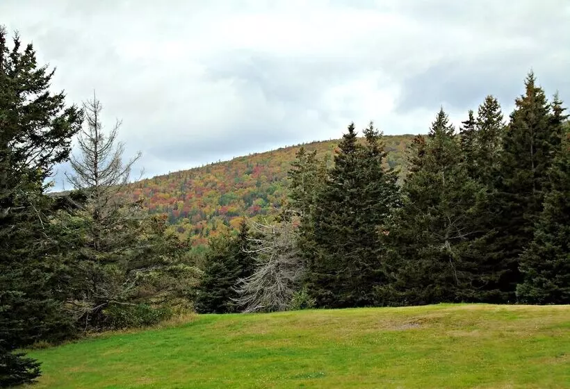 Cajun Cedar Log Cottages