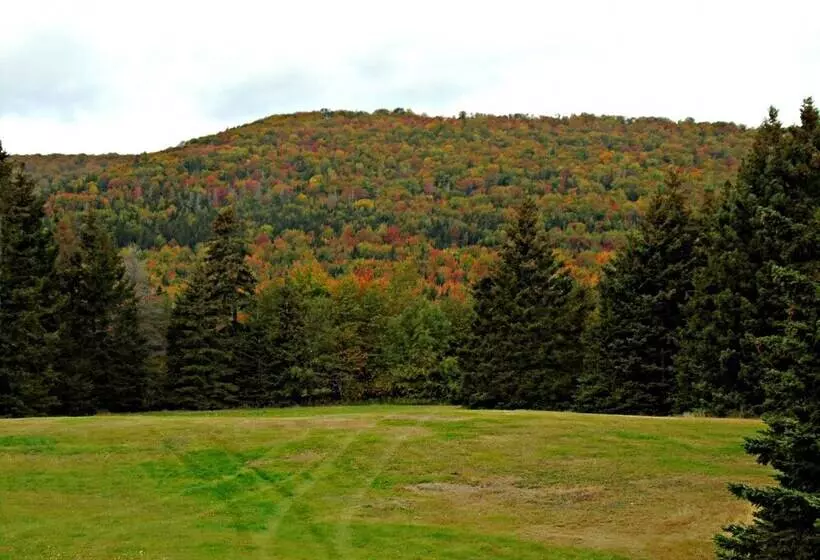 Cajun Cedar Log Cottages